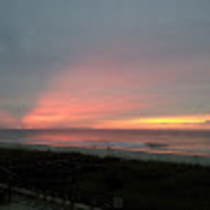 Meet your Posher, Judylane